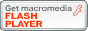 Flash Player _E[hZ^[